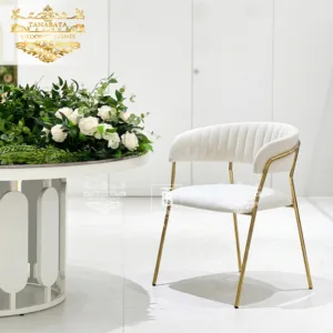 Modern Dining Chair