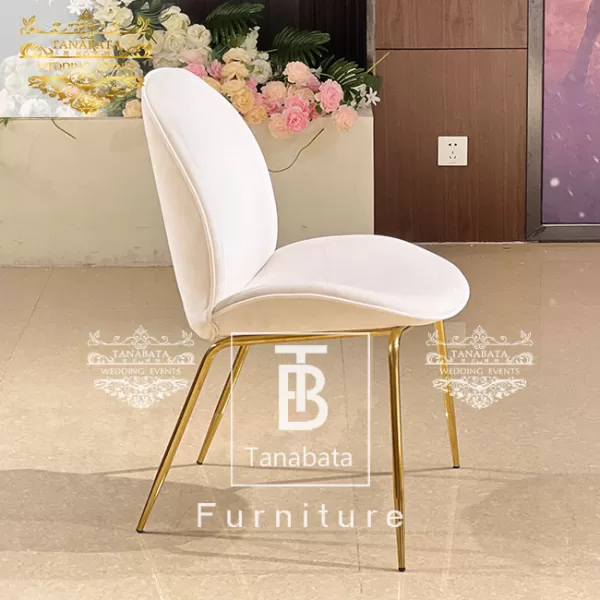 Leisure Chair Modern