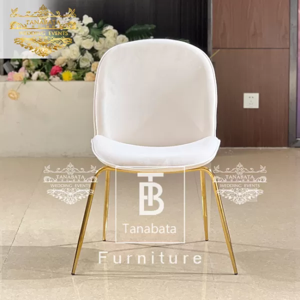 Leisure Chair Modern