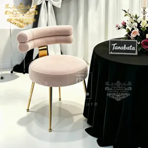 Modern Leisure Chair
