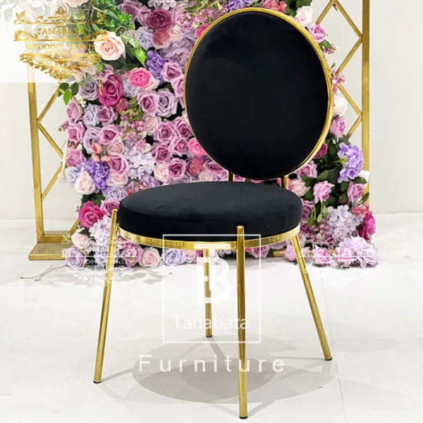Modern Dining Chair